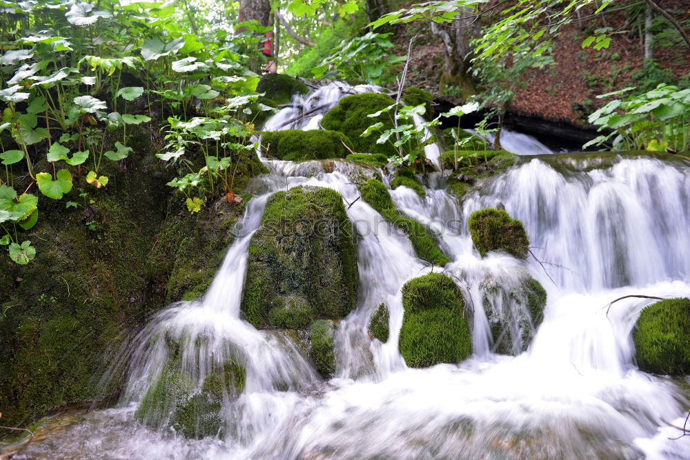 Similar – Image, Stock Photo nature 5.5 Calm Mountain