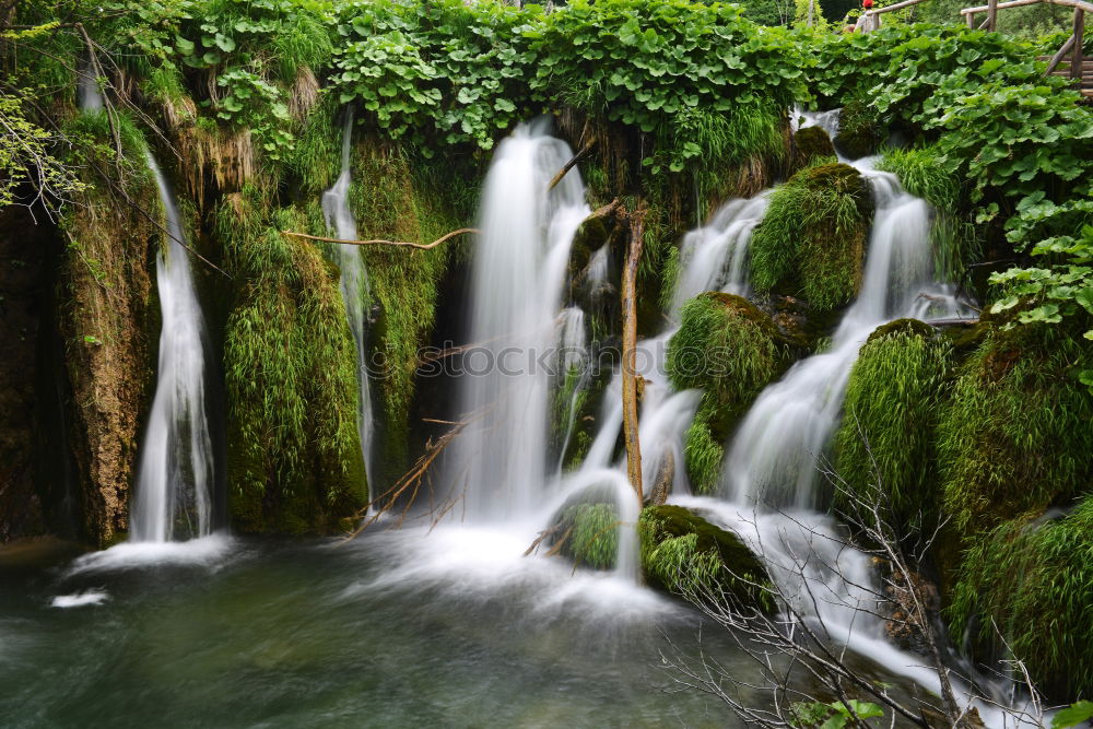 Similar – Image, Stock Photo Bear Guard Gorge Nature