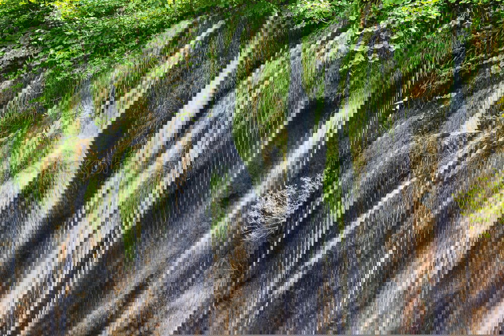 Similar – Foto Bild Quelle Natur Strahlung