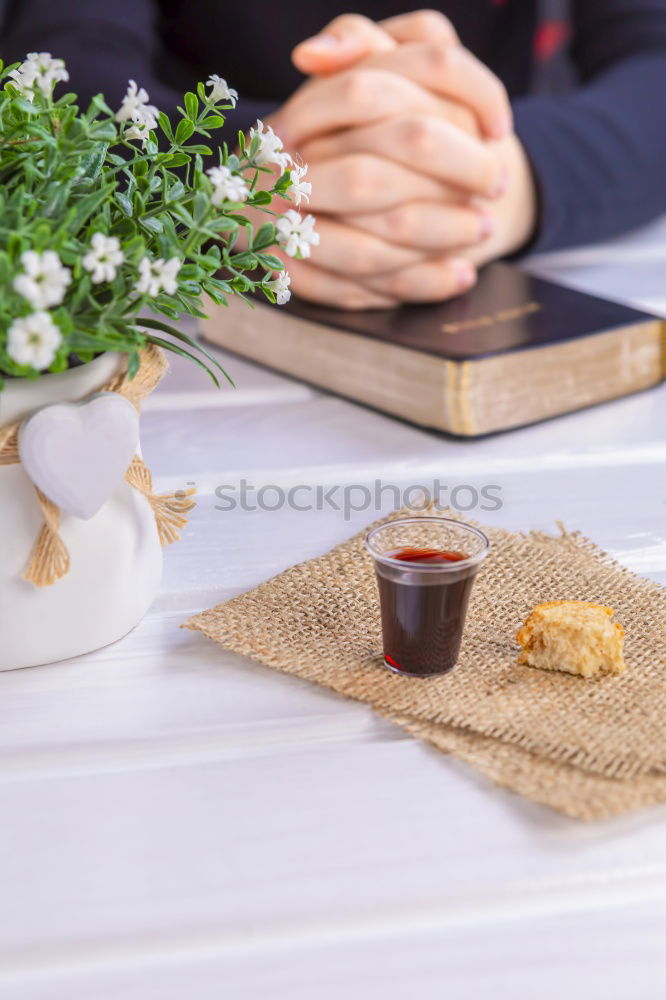 Similar – Image, Stock Photo Woman’s hands in sweater holding wooden bowl with grapes