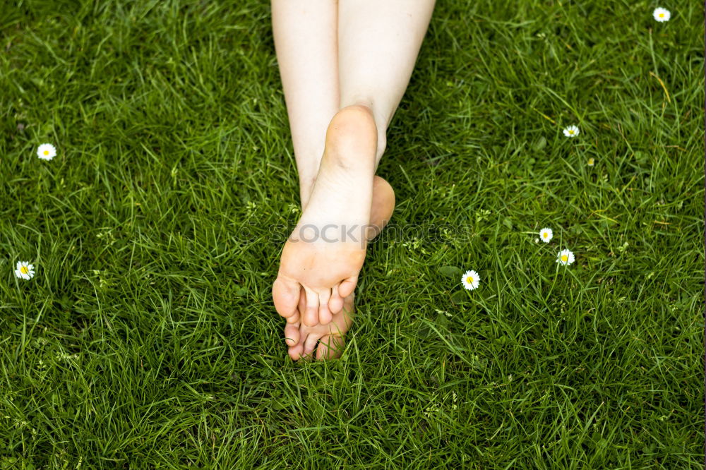 Similar – Image, Stock Photo Flower_and_foot-1