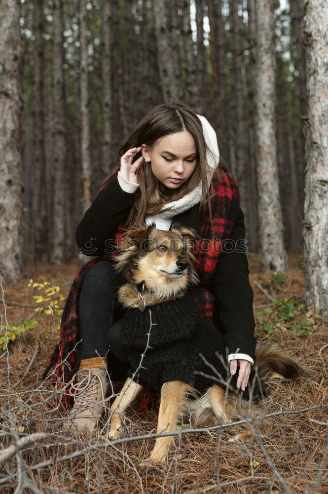 Image, Stock Photo Young woman with a Weimaraner hunting dog looks dreamily up into the treetops