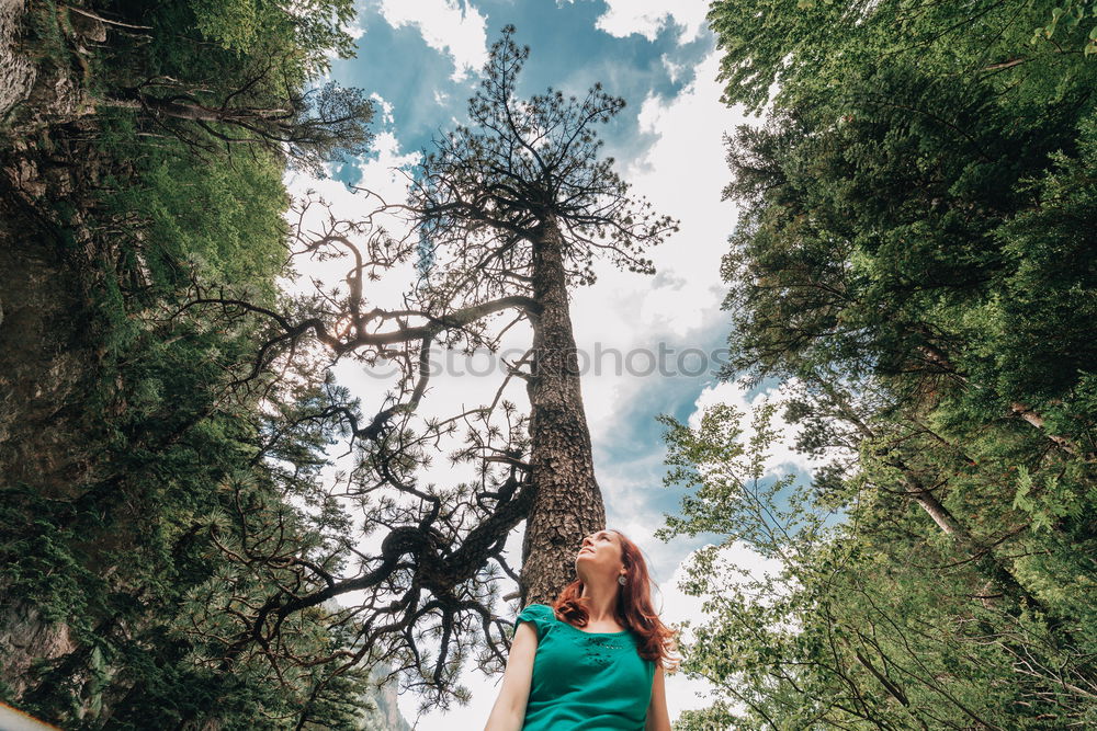 Similar – Image, Stock Photo Girl at Mojave Desert near Route 66 in California