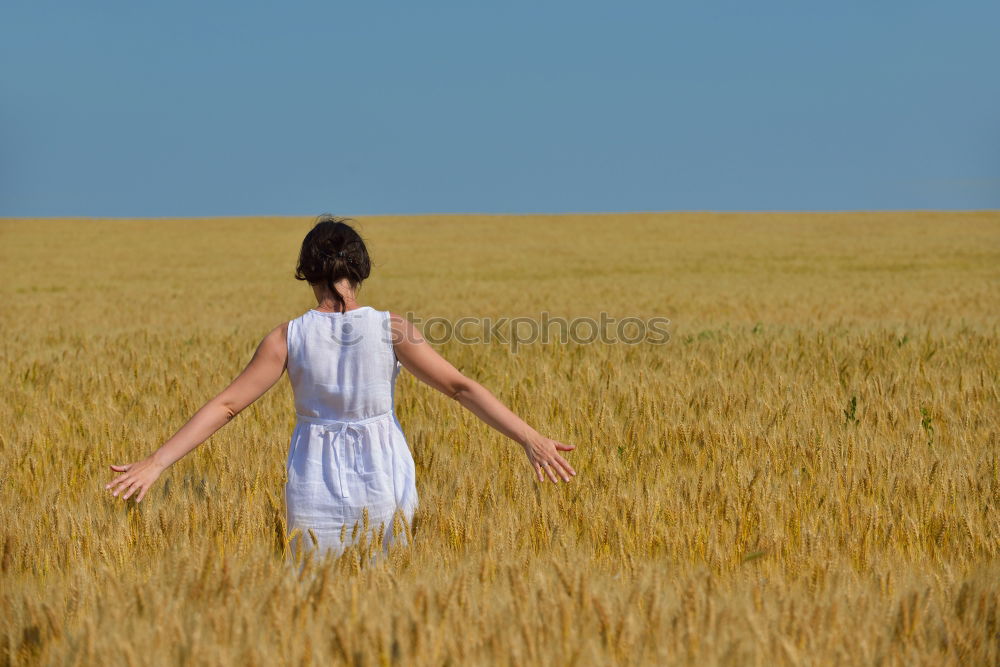 Similar – Foto Bild frau im kornfeld Kleid