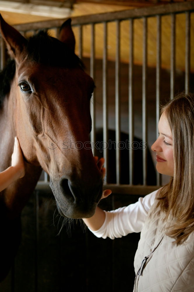 Similar – Image, Stock Photo Beloved quadruped