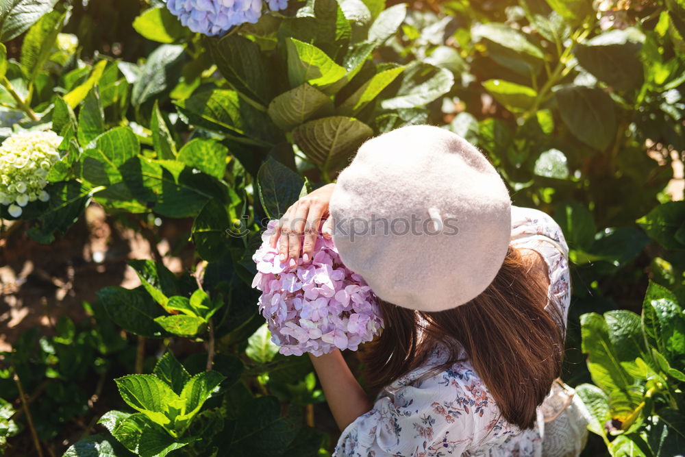 Similar – Girl picking berries in backyard