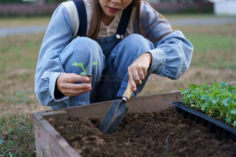 Similar – Image, Stock Photo Vegetable harvest;