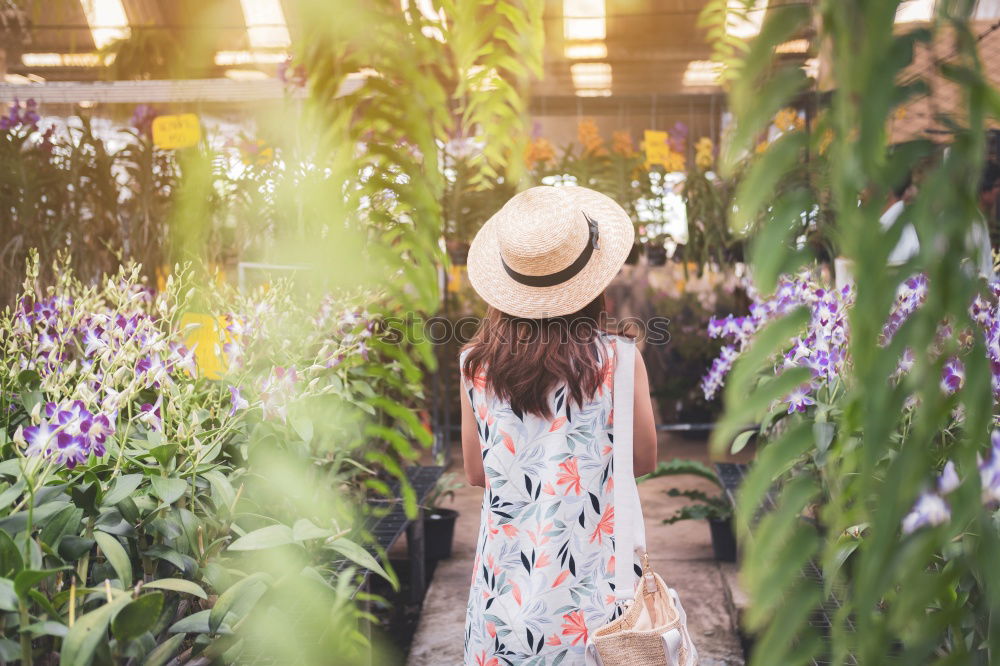 Similar – Image, Stock Photo Woman gardener, planting cactus plant in a pot