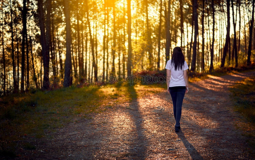 Similar – Image, Stock Photo Sun deck IV Human being