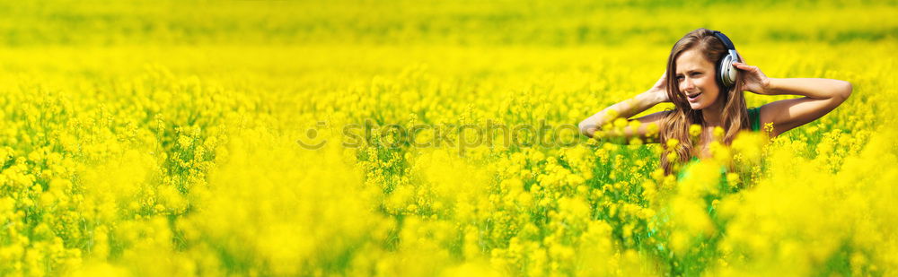 Foto Bild Rapsmonster Leben Sommer