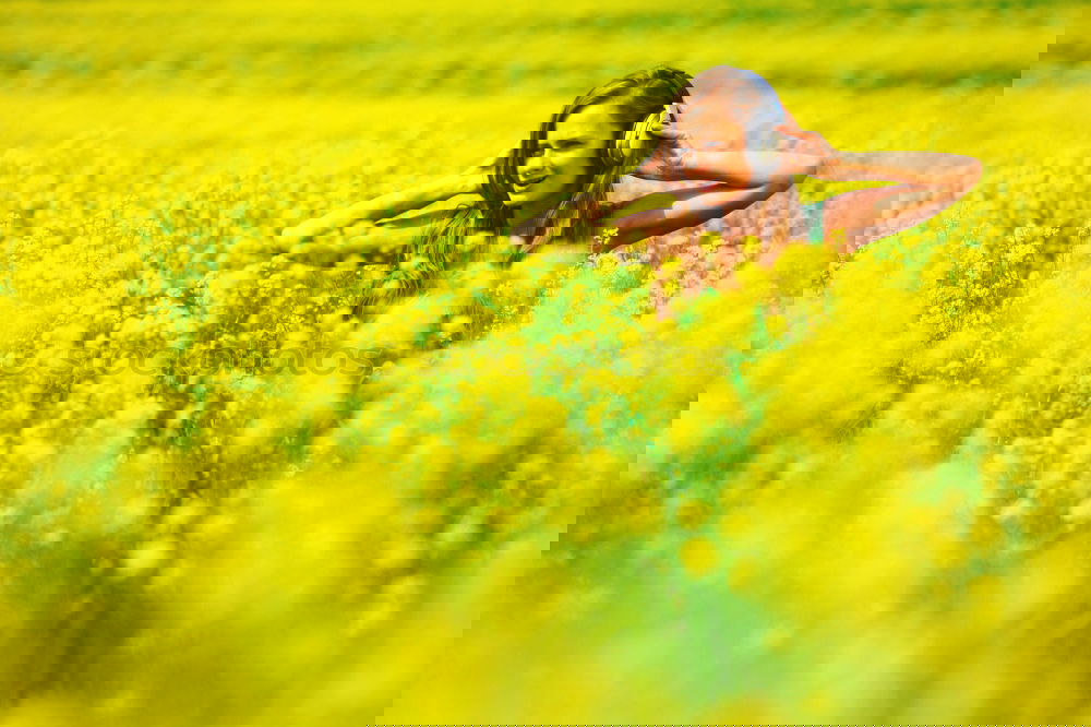 Similar – Foto Bild Rapsmonster Leben Sommer