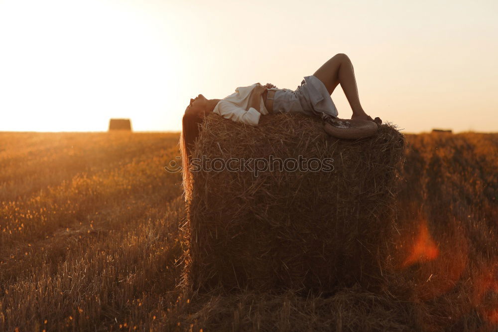 Similar – Back view of a Pensive boy in the straw field