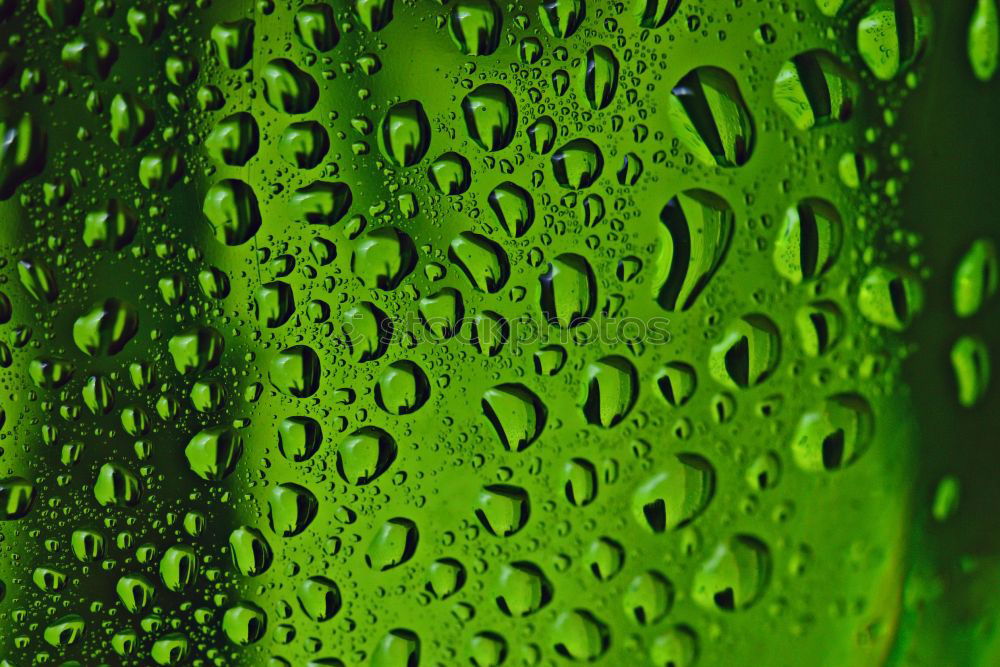 Similar – Foto Bild Ahhhh … *rülps* Becher