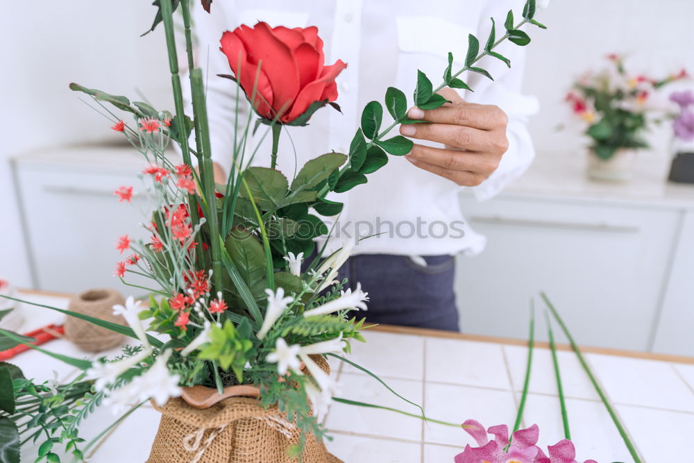 Similar – Image, Stock Photo Female hands with bouquet and vase