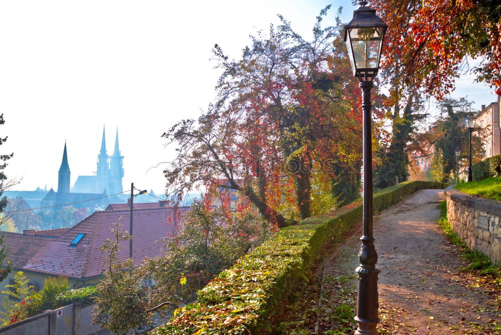 Similar – Image, Stock Photo resin Wernigerode Germany