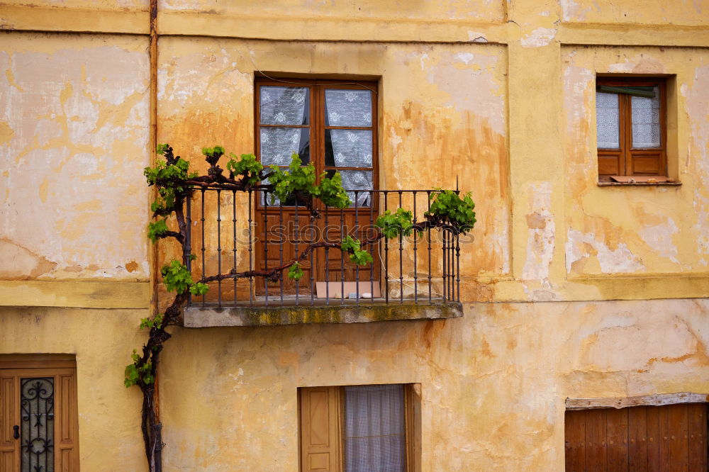 Similar – Image, Stock Photo Street in La Orotava, Tenerife