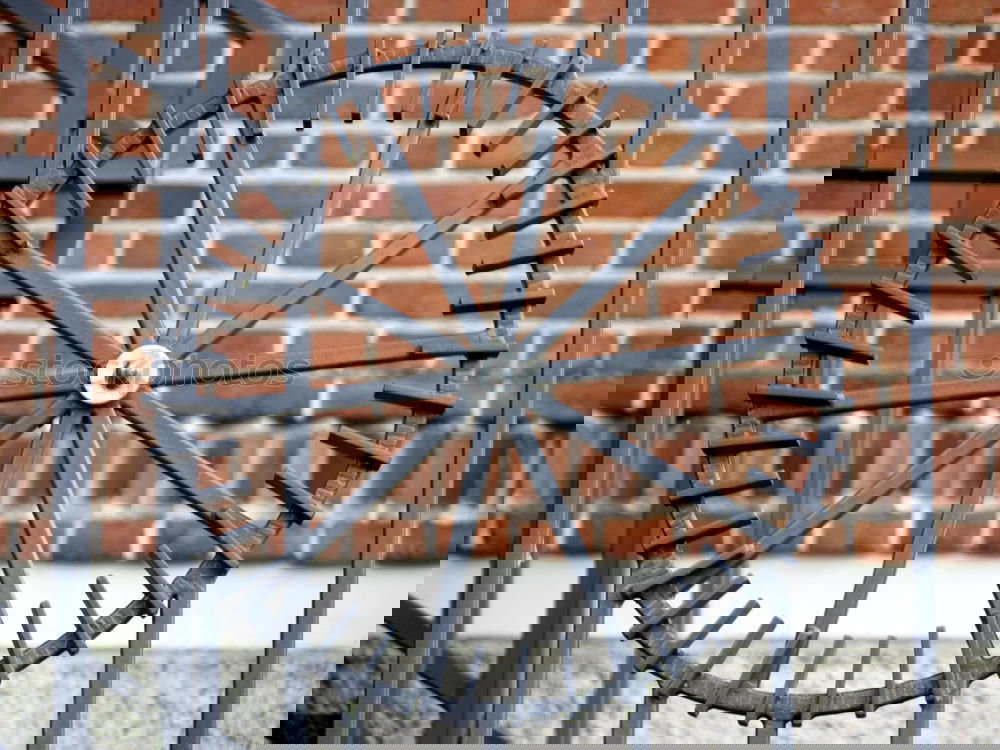 Similar – Image, Stock Photo Rollin‘ rollin‘ rollin‘…