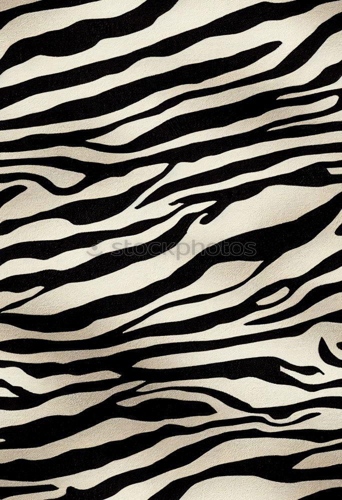 Image, Stock Photo Zebra on the Strip II