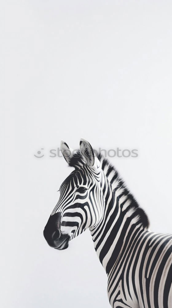 Similar – Image, Stock Photo sloshed Swimming pool