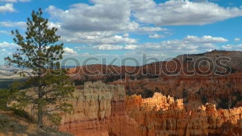 Similar – Bryce Canyon View