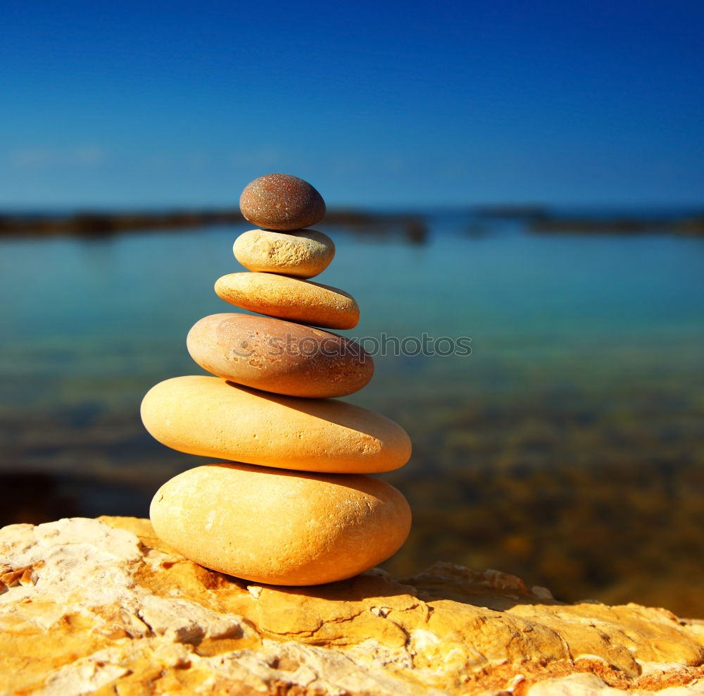 Similar – Image, Stock Photo Mussels on a string in front of sky, sea and sandy beach