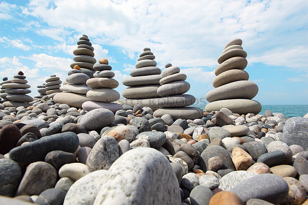 Similar – Image, Stock Photo paradise Mussel Beach