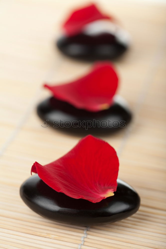 Similar – Image, Stock Photo Hearts from cardboard boxes, Valentine’s hearts