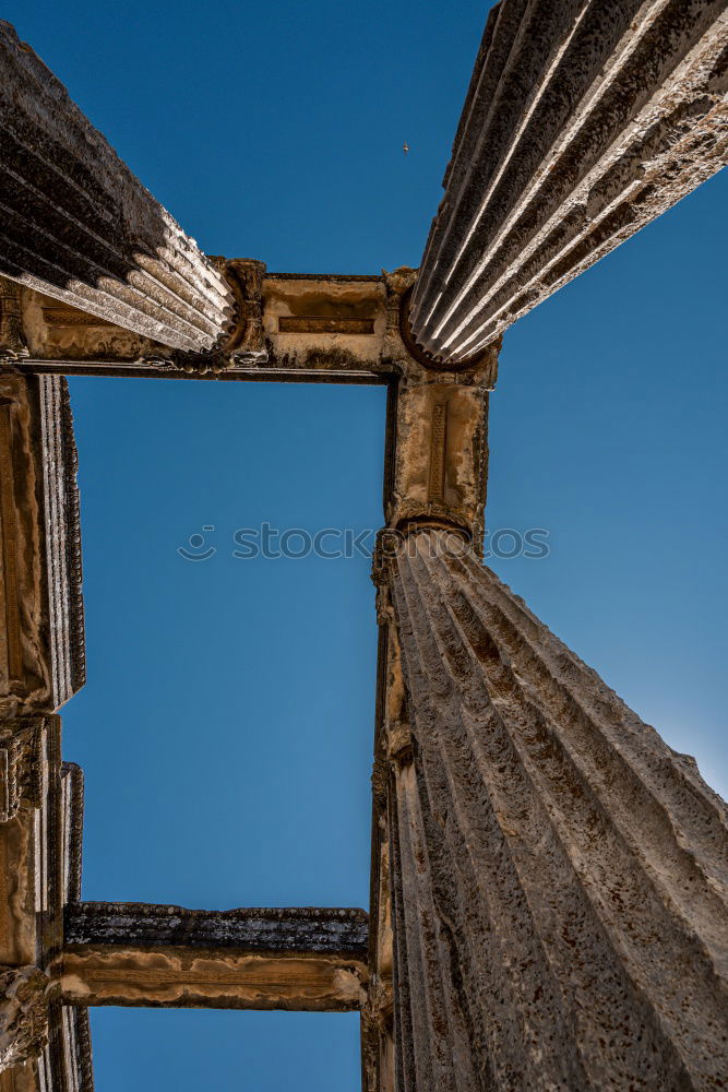 Similar – Image, Stock Photo Roma XIII