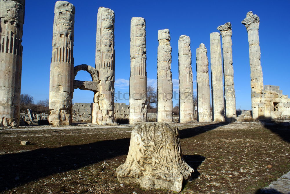 Similar – Image, Stock Photo Foro Romano (Rome, Italy)