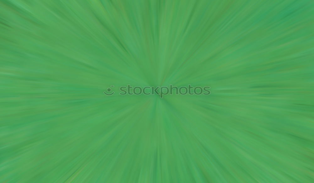 Similar – Image, Stock Photo green megablatt Plant Leaf