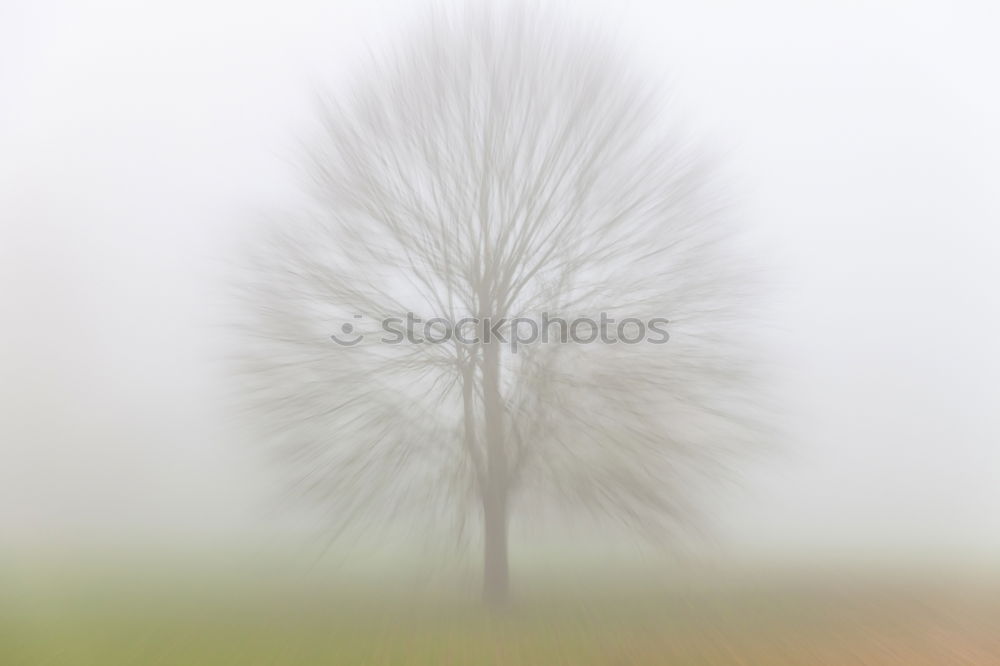 Similar – Foto Bild Einsam Feld Nebel Herbst