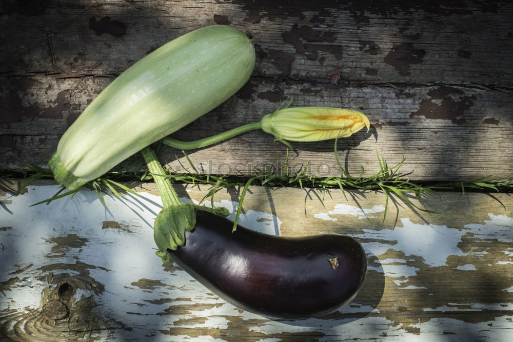 Similar – Image, Stock Photo Picking red beets