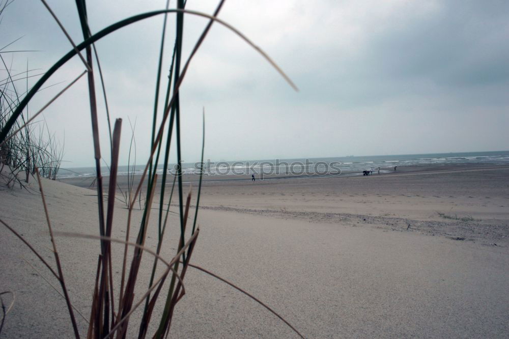 Similar – Image, Stock Photo Evening atmosphere Hiddensee