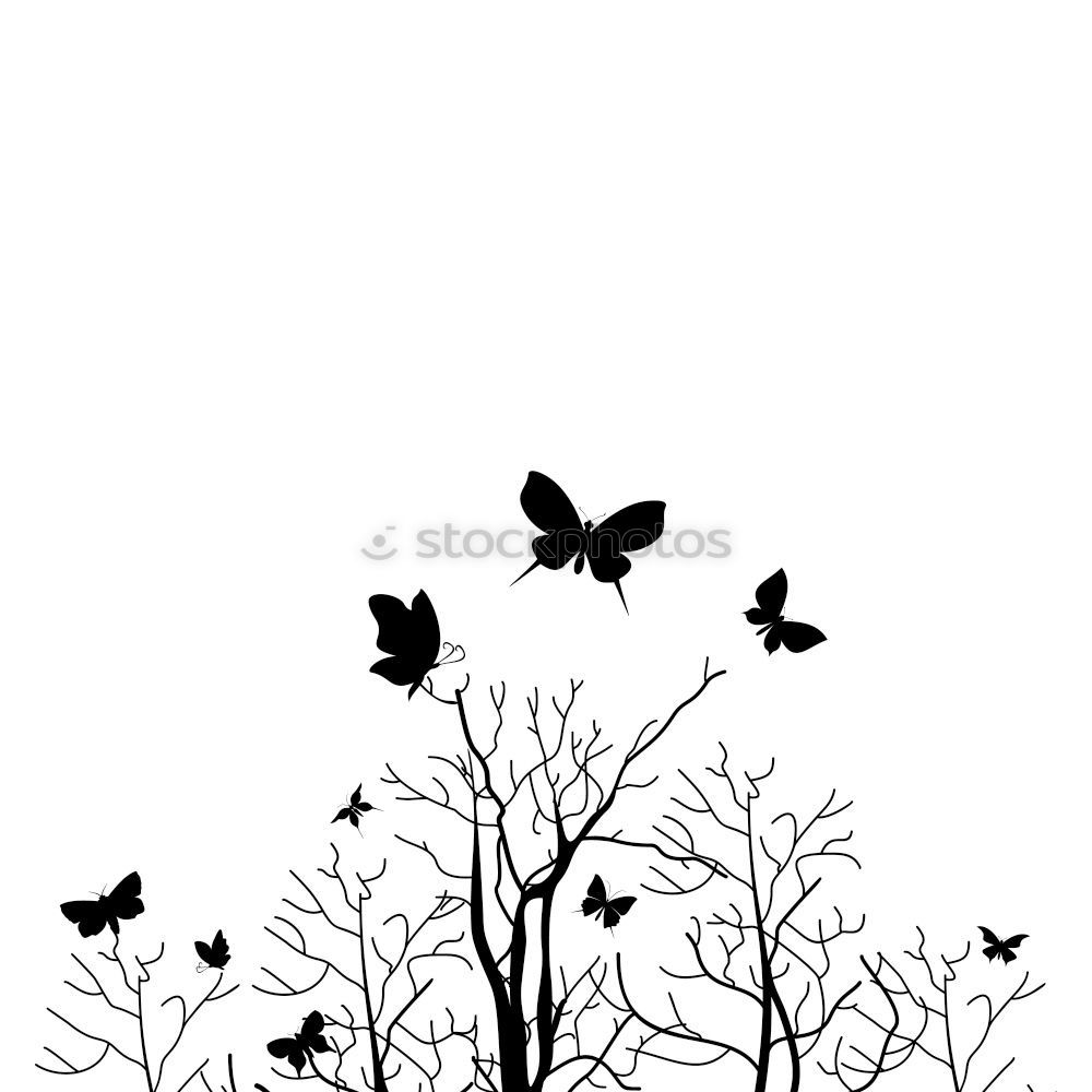 Similar – Image, Stock Photo sparrow autumn Environment