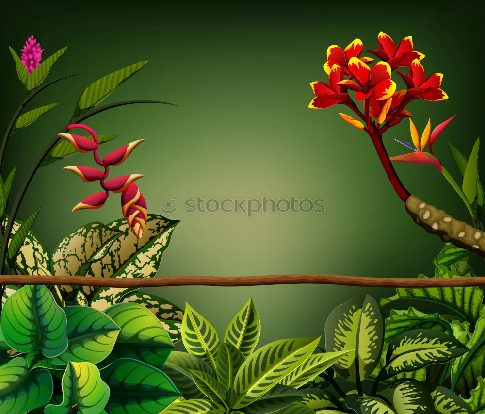 Similar – Foto Bild Kirschblüten Umwelt Natur