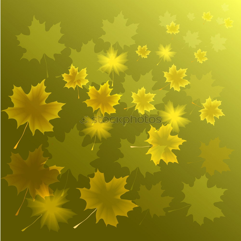 Similar – Goldener Oktober Herbst