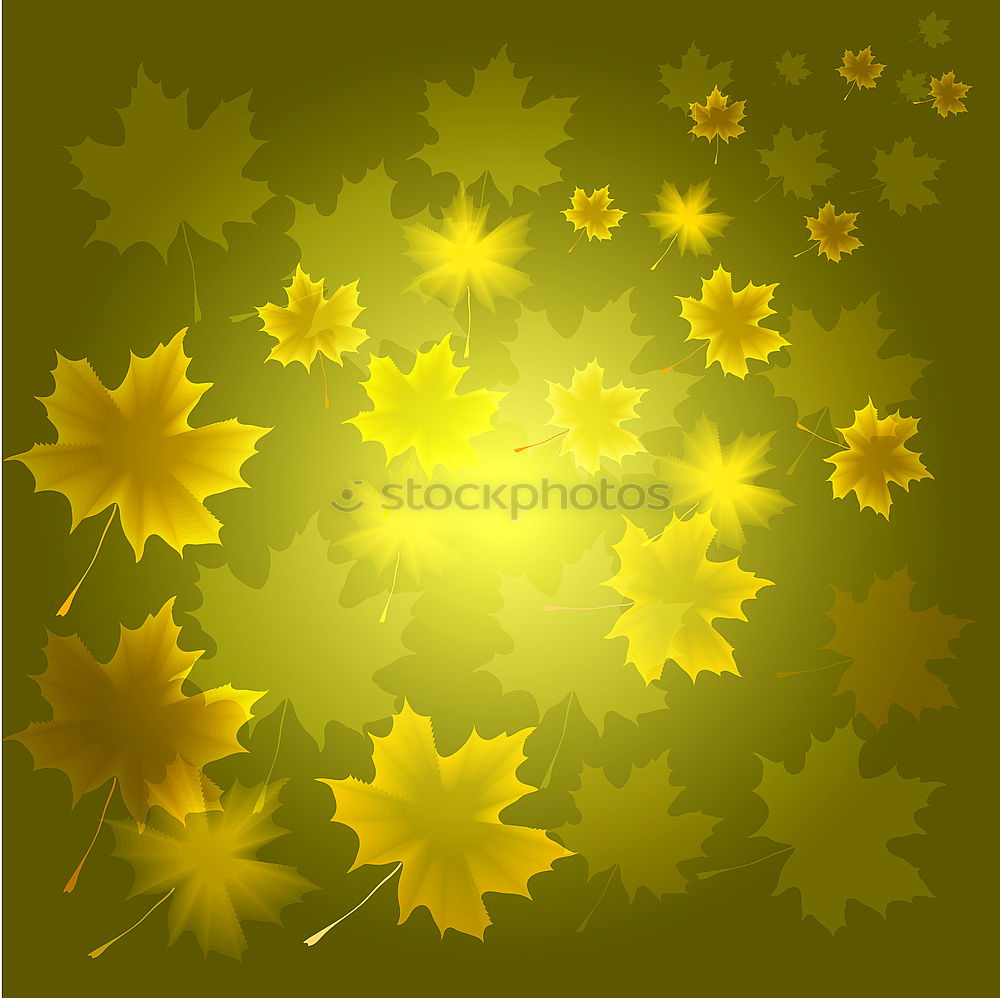 Similar – Goldener Oktober Herbst