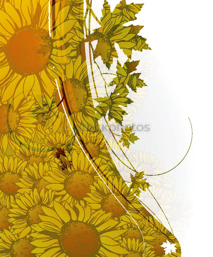 Similar – Rear view of a sunflower in backlight