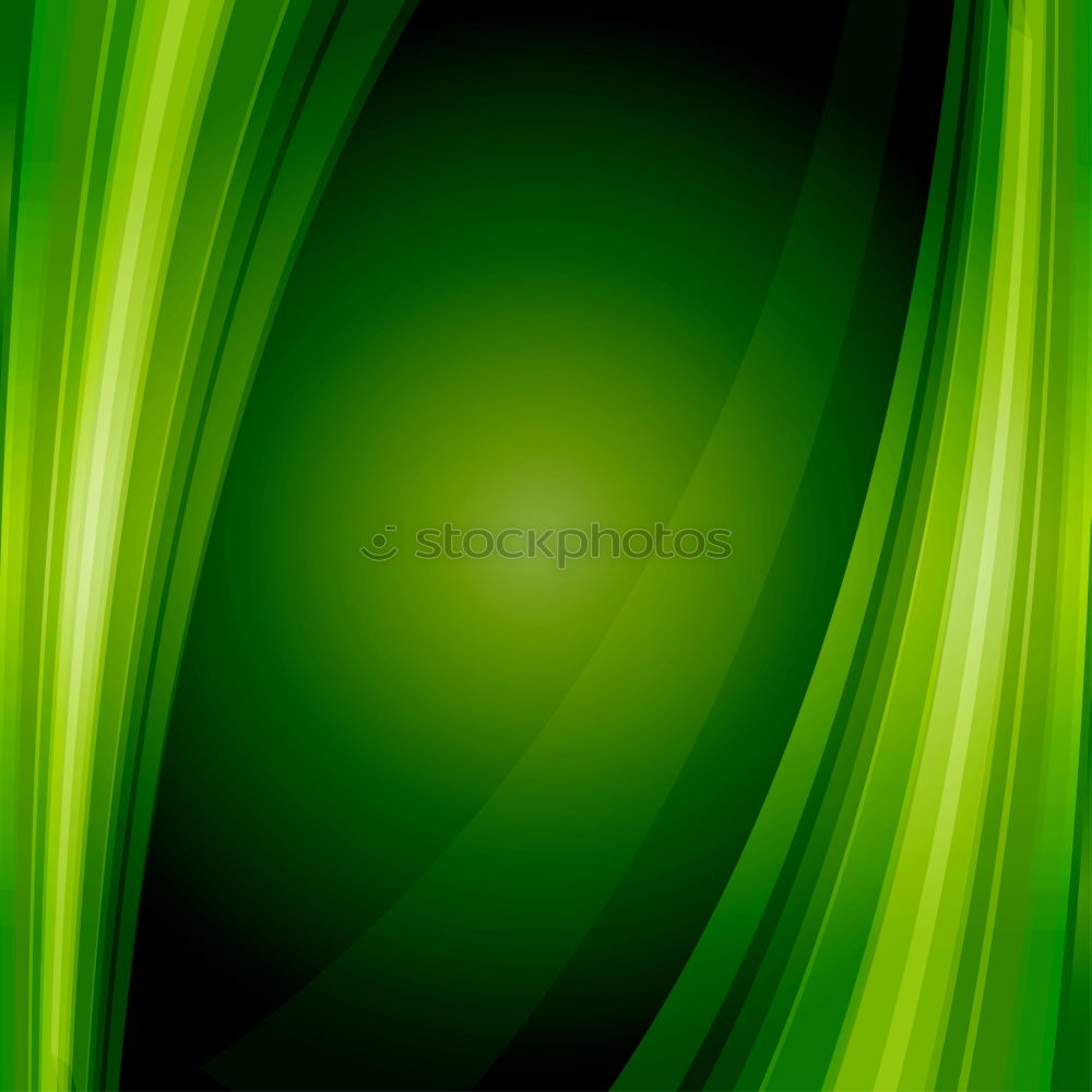 Similar – Image, Stock Photo fern Plant Green Leaf