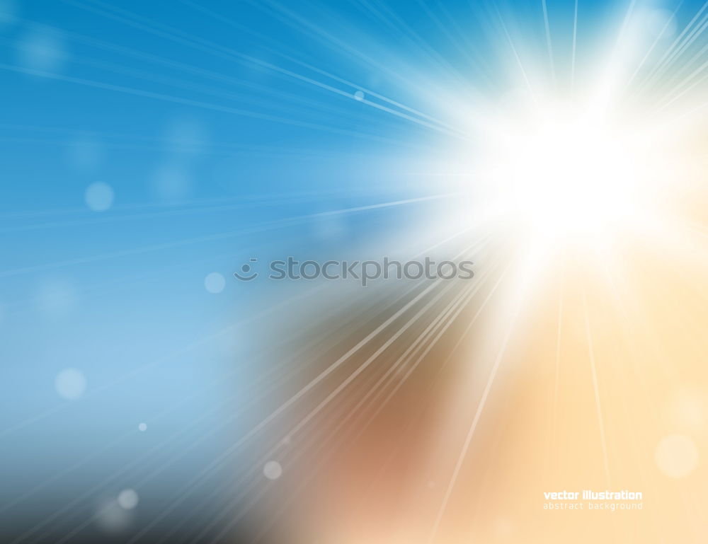 Similar – Image, Stock Photo Seagull in the light