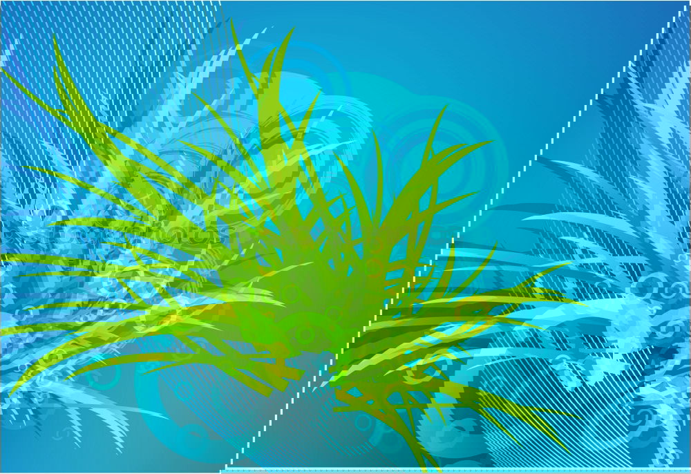 Similar – Image, Stock Photo as fresh as a daisy