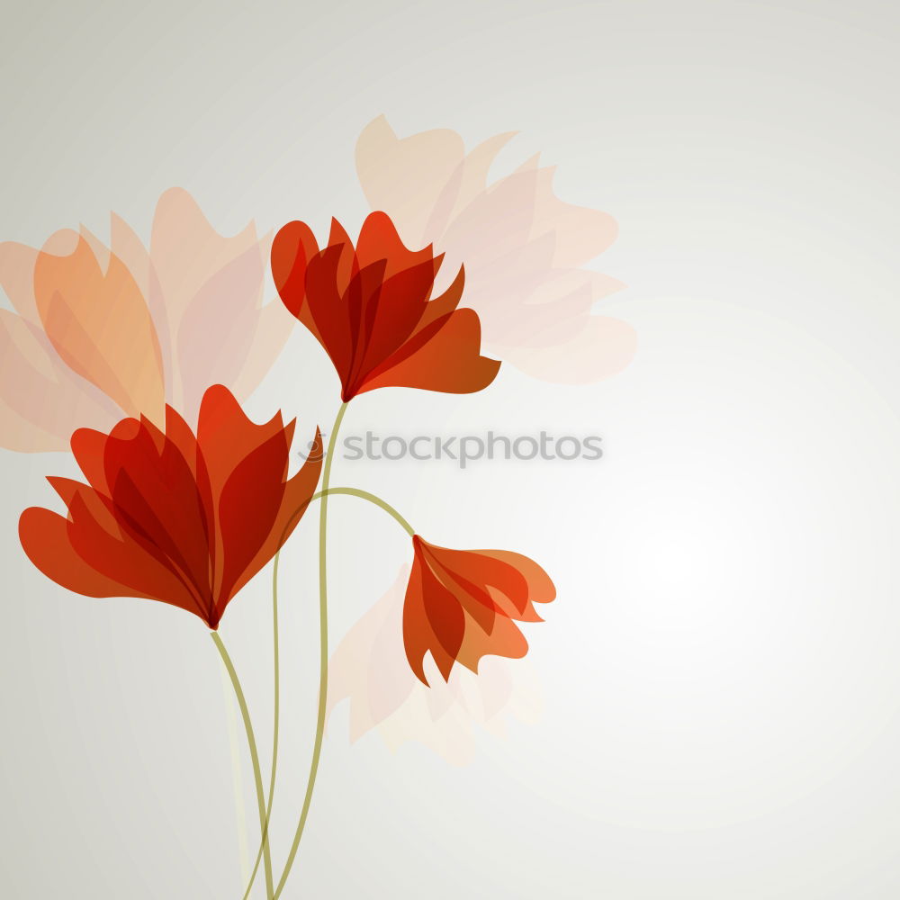 Similar – Image, Stock Photo Tulip in pastel colour