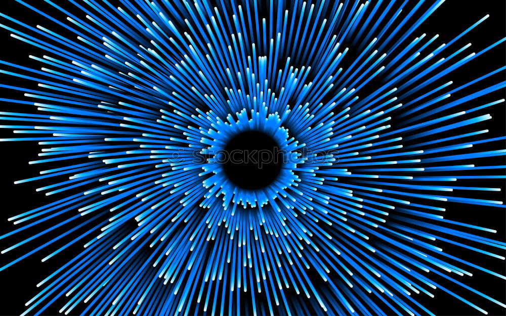 Foto Bild Blautanne Tanne blau Natur
