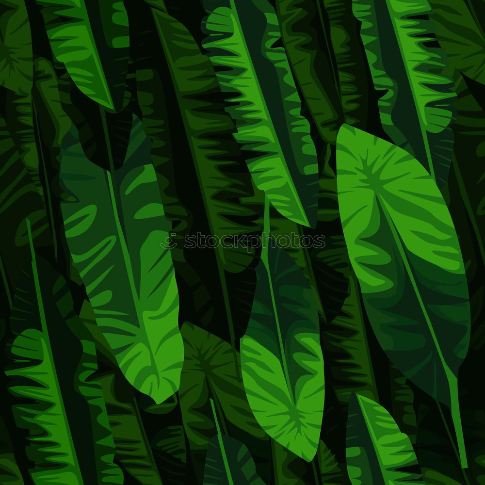 Similar – Image, Stock Photo green leaves texture Plant