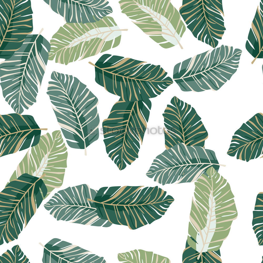Similar – Image, Stock Photo Layout with various tropical palms and fern leaves