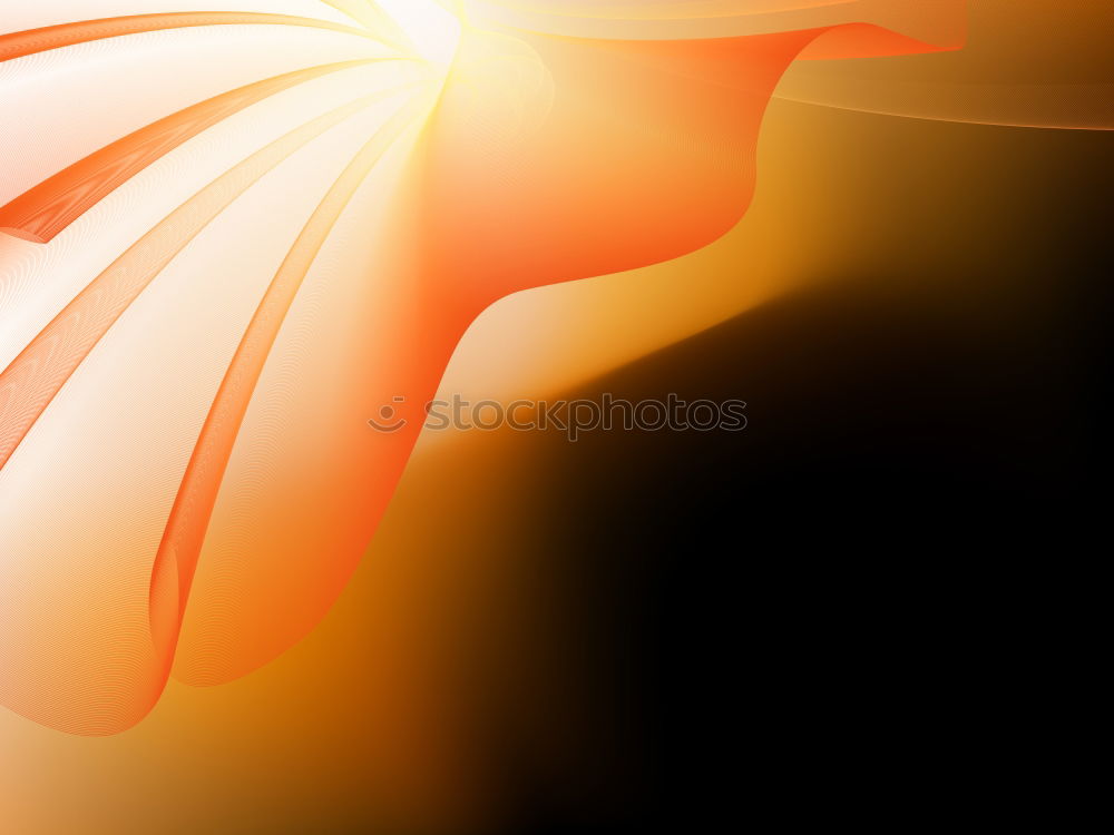 Similar – Image, Stock Photo orange on black Cloth