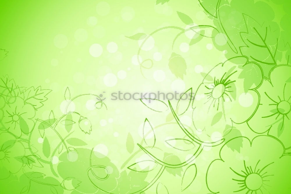 Similar – Image, Stock Photo flower room Plant Flower