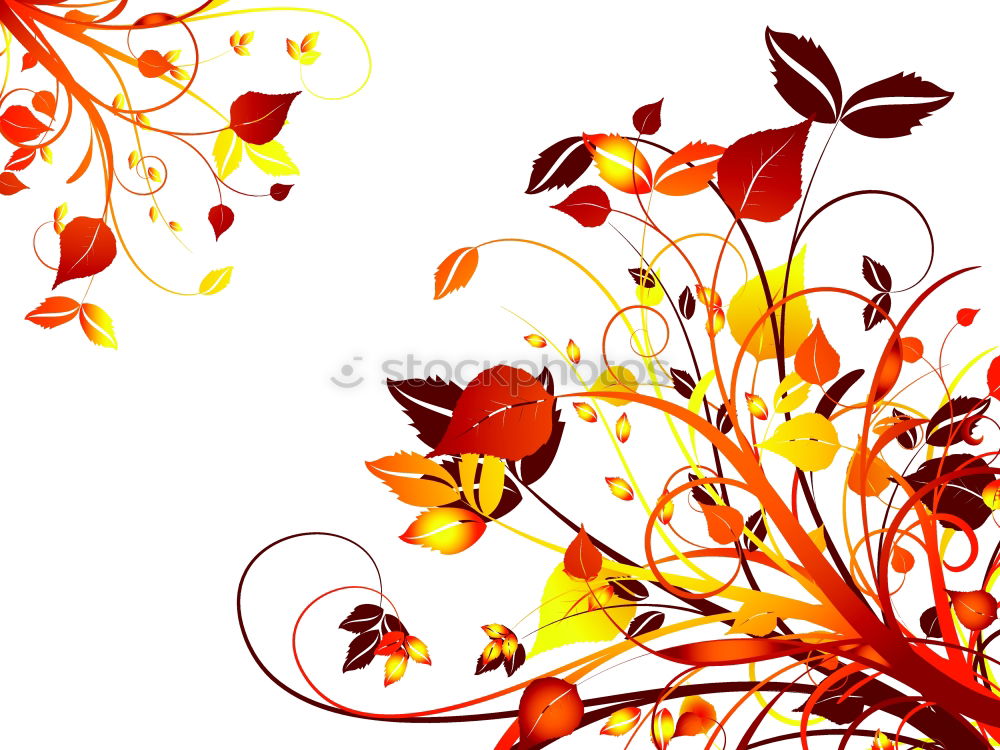 Similar – Image, Stock Photo Summer flowers on red wooden table