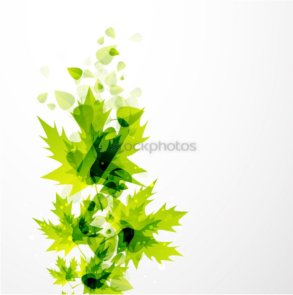 Image, Stock Photo Urtica Stinging nettle