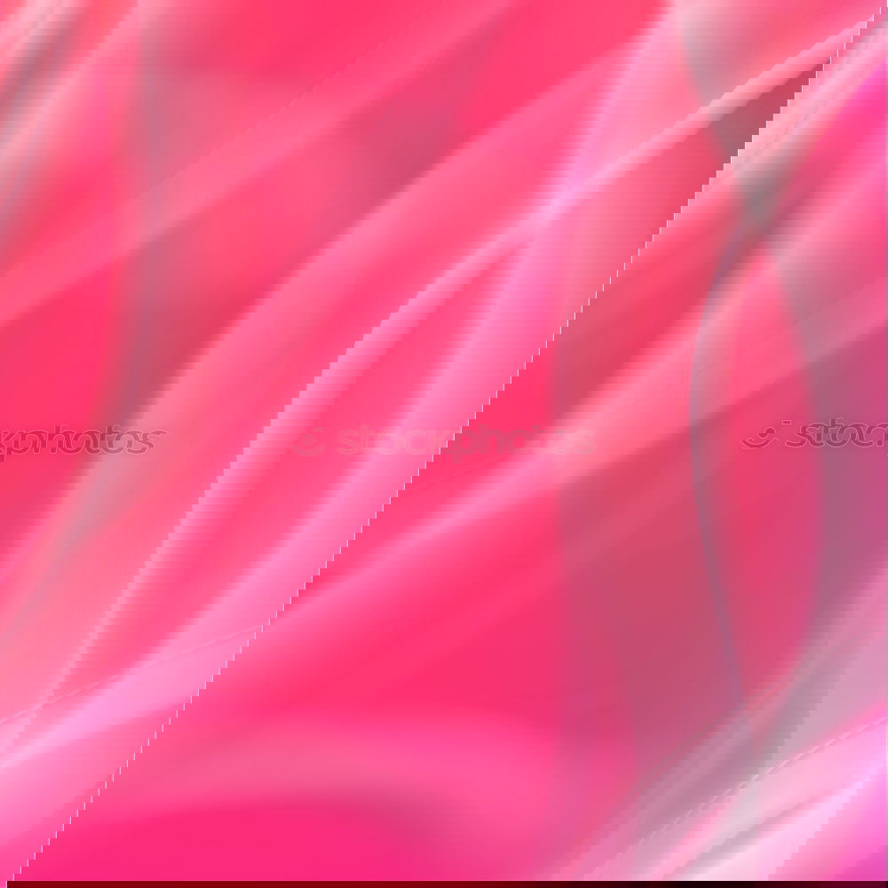 Similar – Image, Stock Photo rose petal Style Design